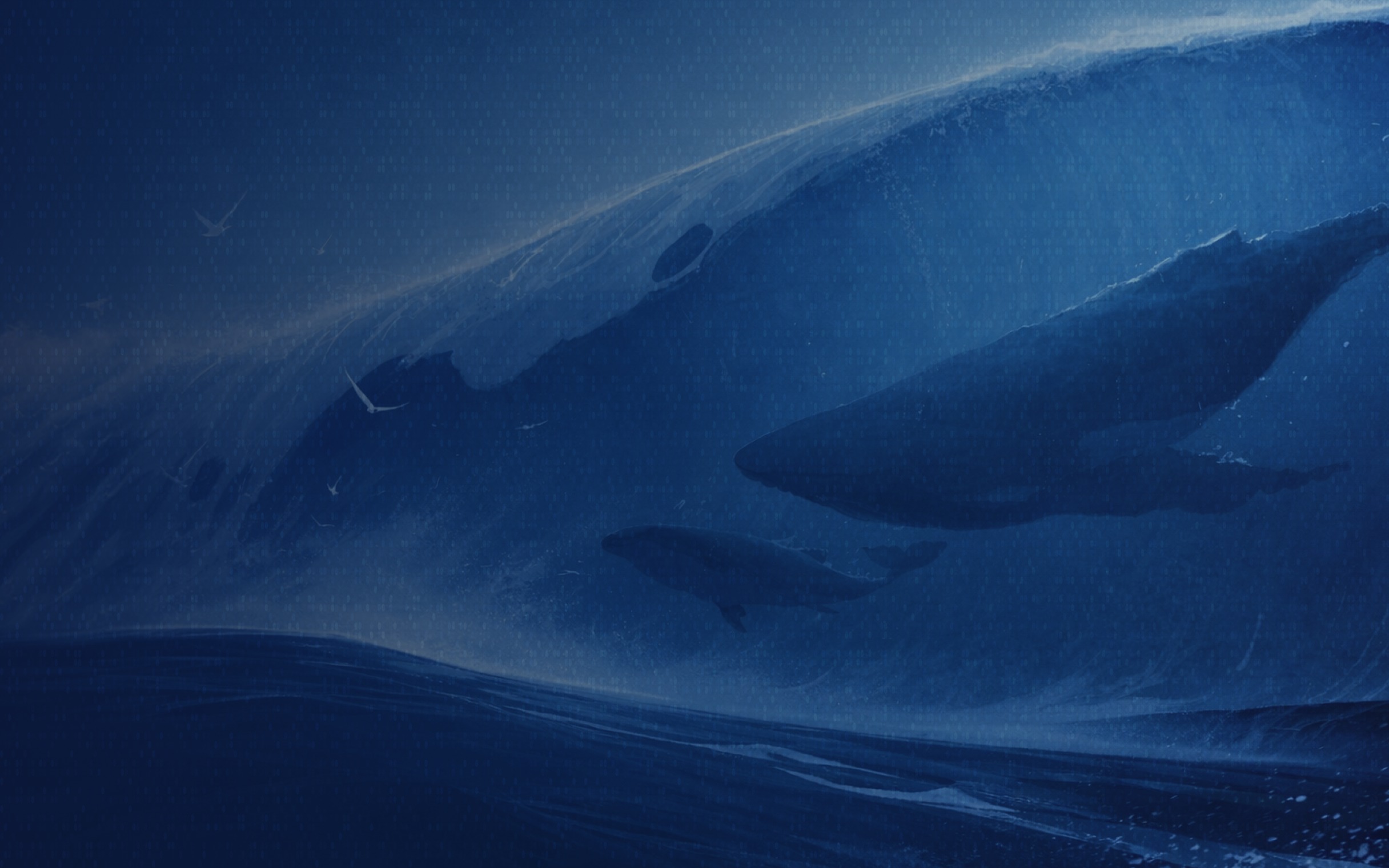 Introducing Whale Hub: Where Knowledge Meets Opportunity