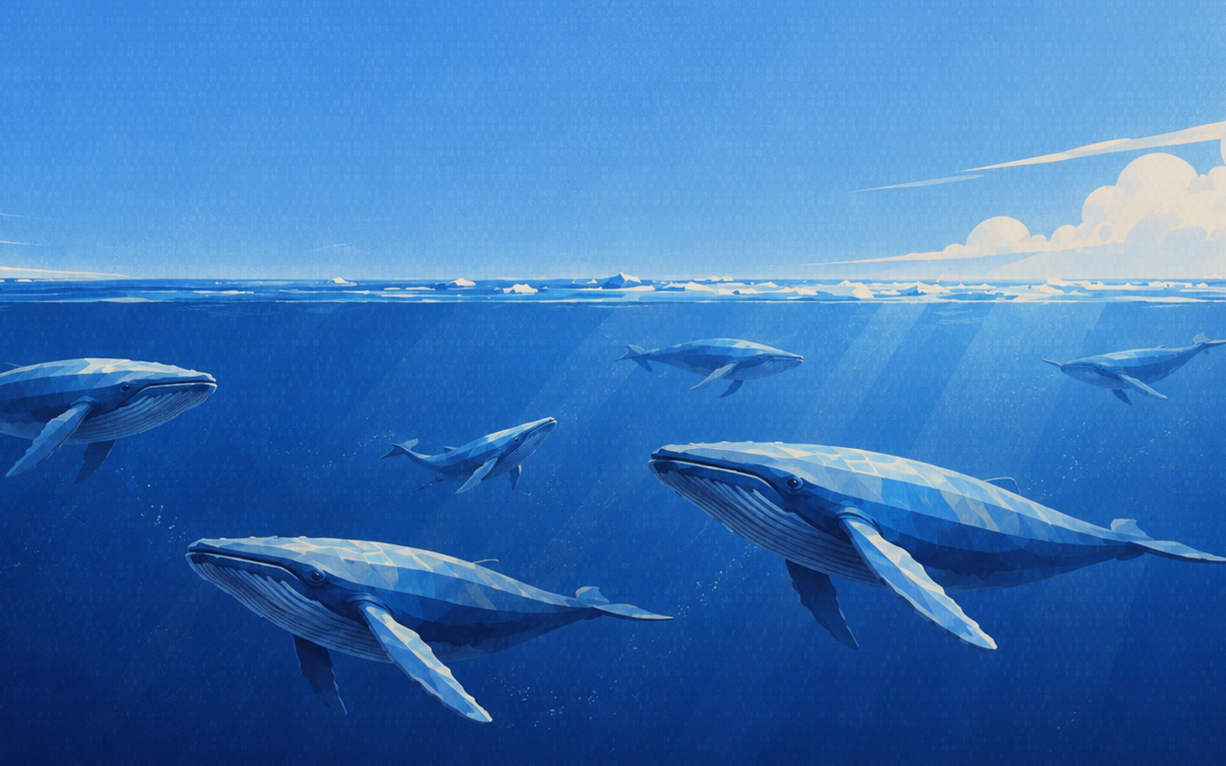 Whale Hub Applications Are Now Open